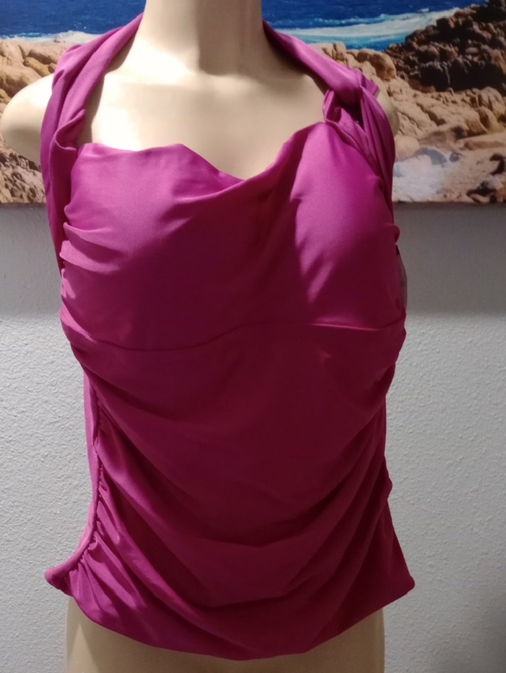 Catalina Magenta Women's Top